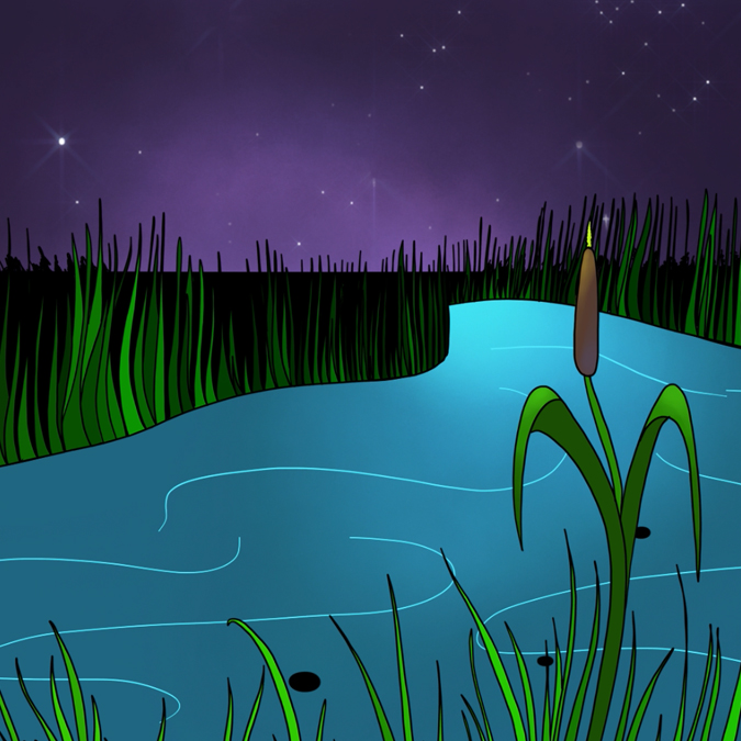 Illustration of a winding river at night. It's shores are lined with tall grass.
