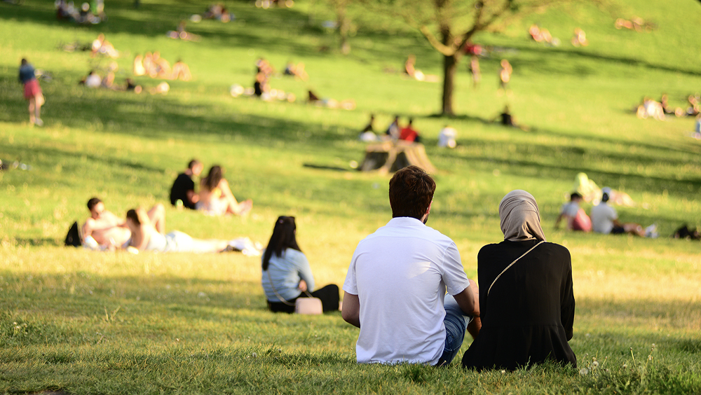 Individuals and groups of people on the grass at park.