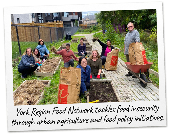 Members of the York Region Food Network gather around raised gardening beds and smile for the camera