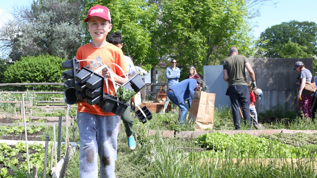 A child holds up containers of plants in a community garden being worked on by a group of people