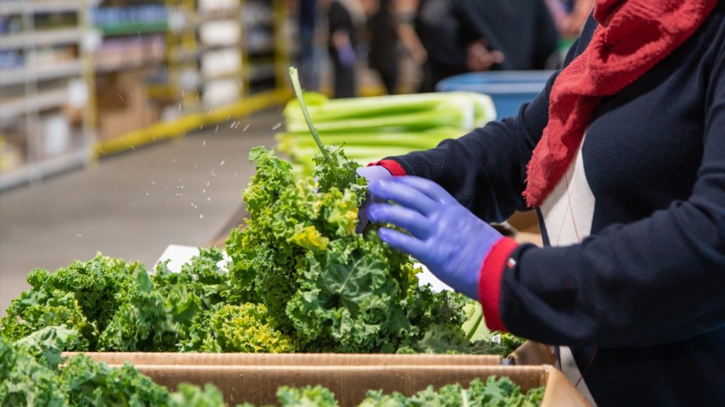 A women packs lettuce into q box at a foodbank.