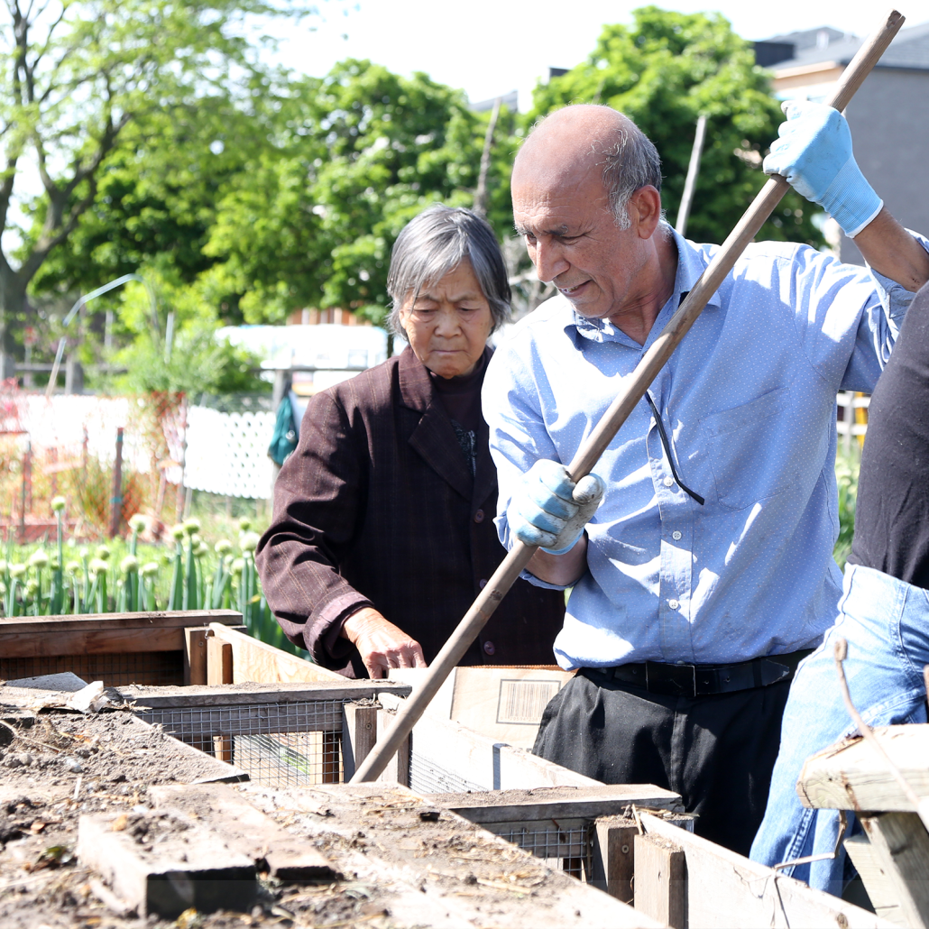 Man and woman working in a community garden