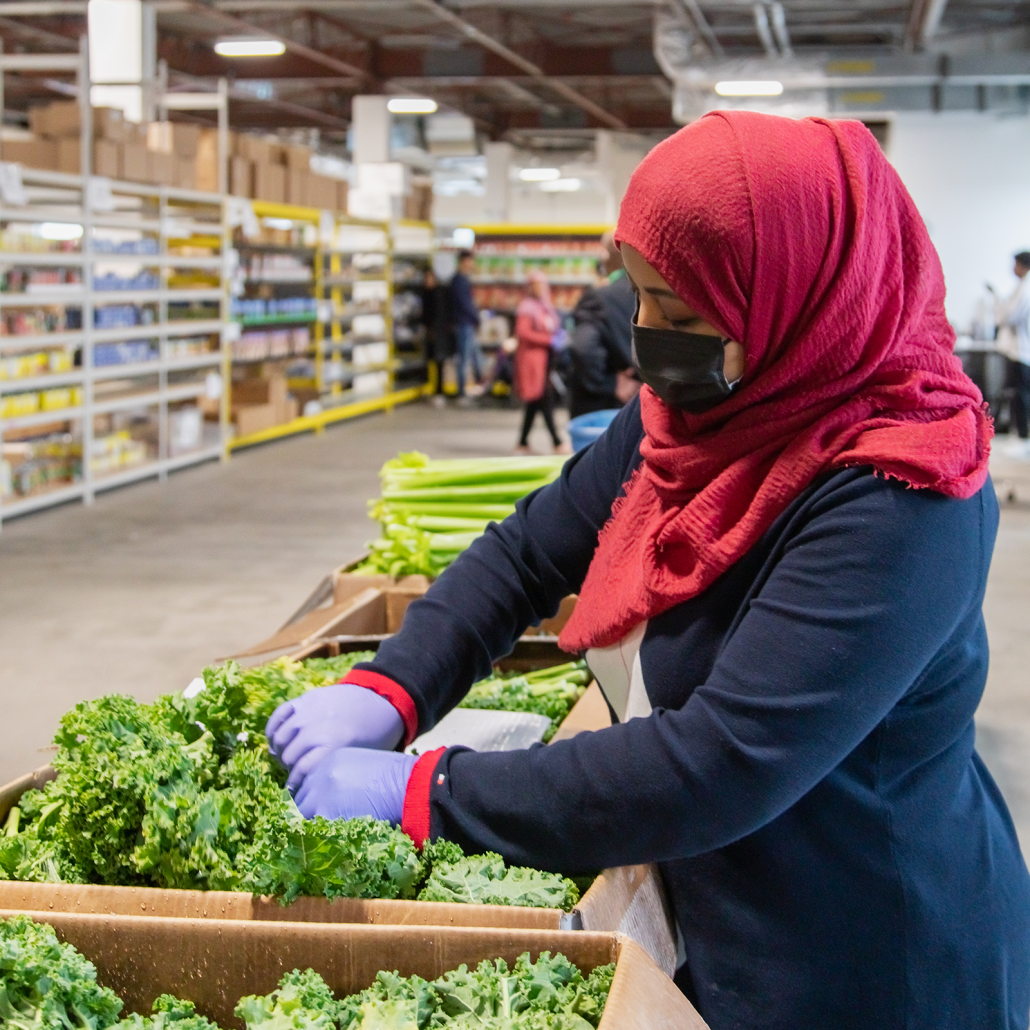 Woman filling a food basket at a foodbank