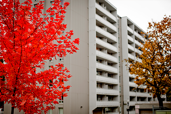 Photograph of apartment housing in Ontario