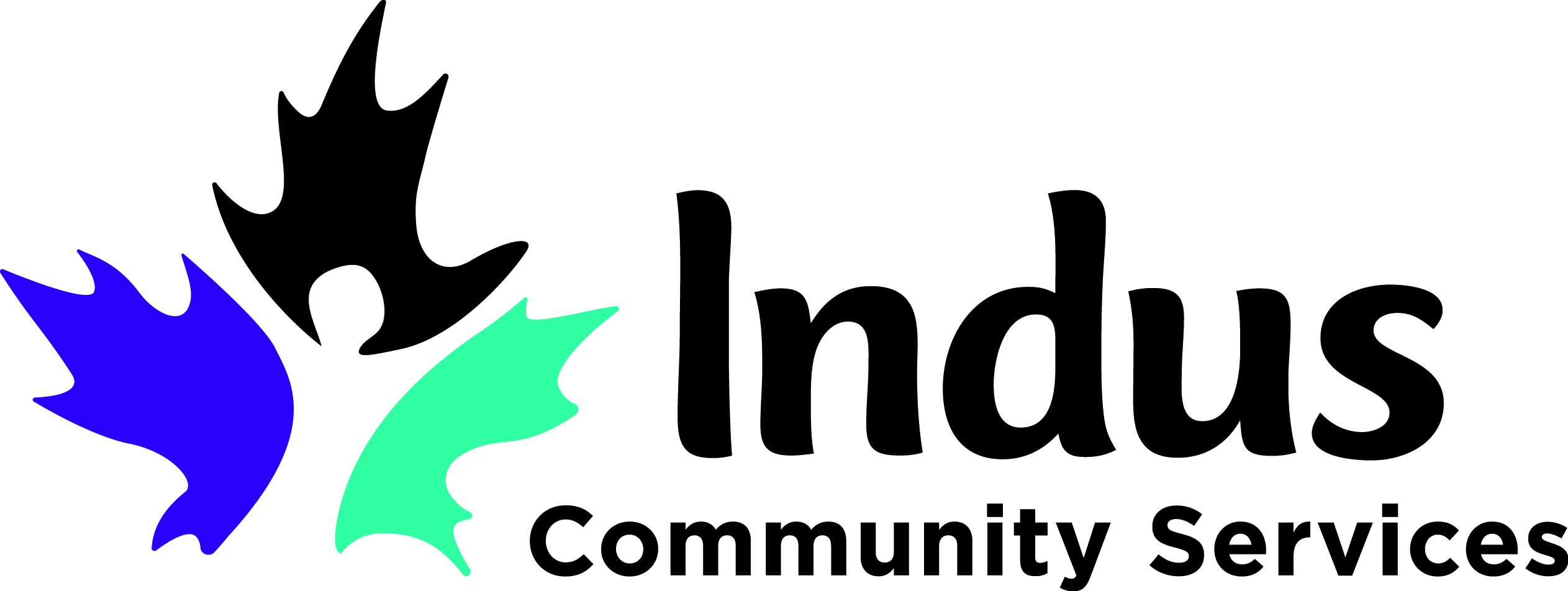 Indus Community Services
