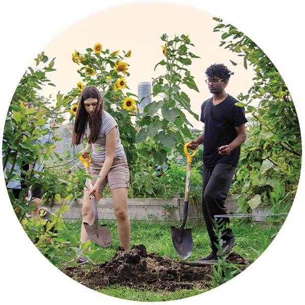 Two people holding shovels dig a hole in the middle of a community garden.
