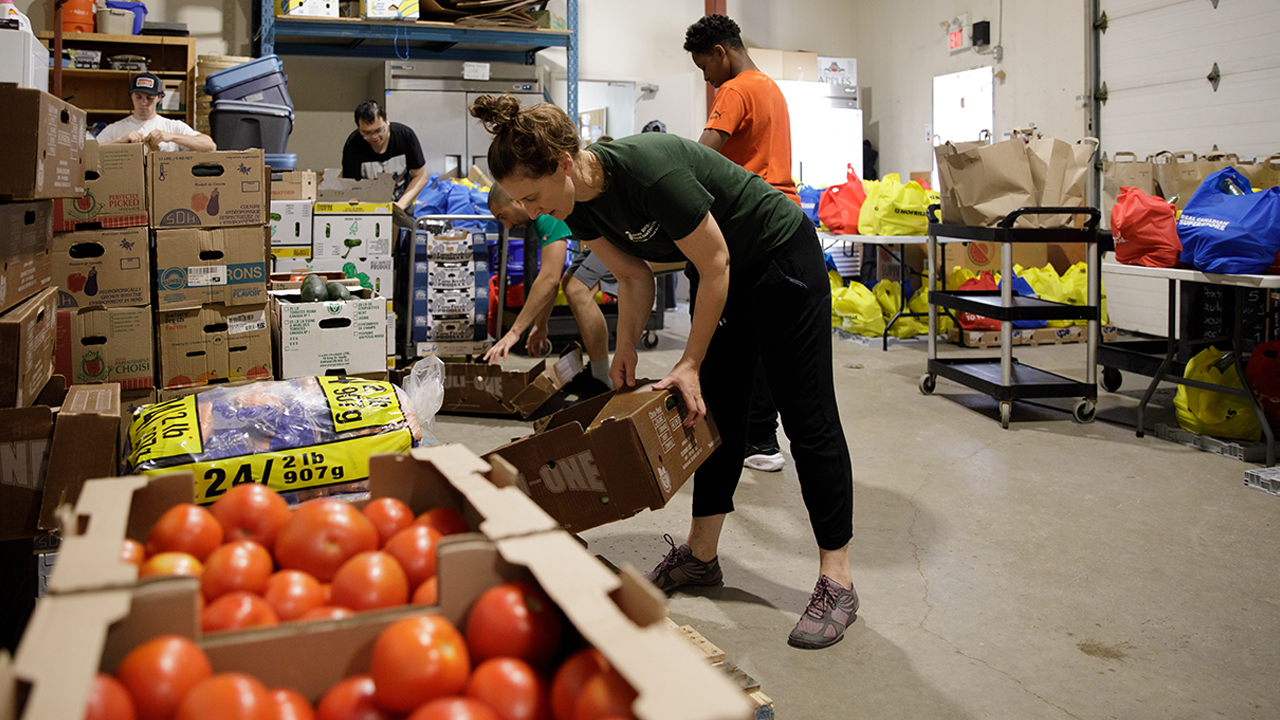 People-sort-produce-at-York-Region-Food-Network