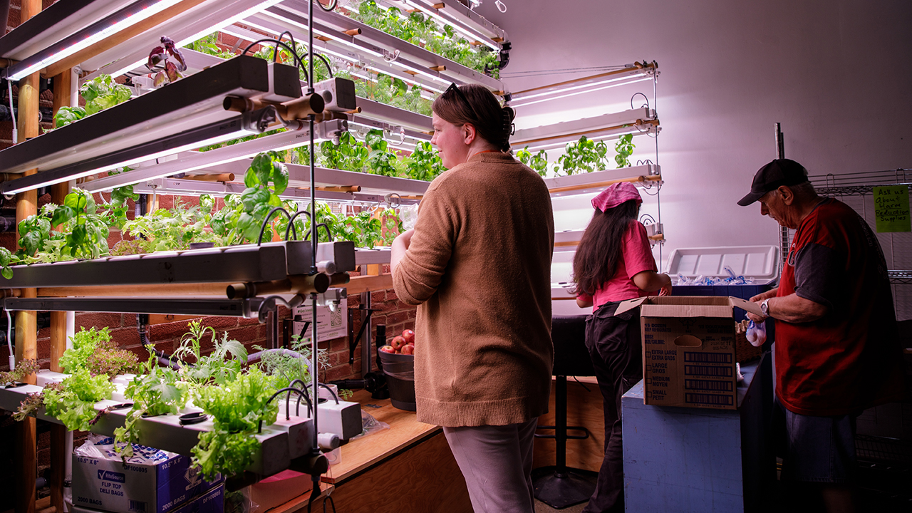 Three people stand in front of the hydroponic wall at Parkdale Community Food Bank